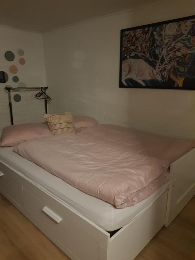 Trandafir Guesthouse Egtved Exteriör bild