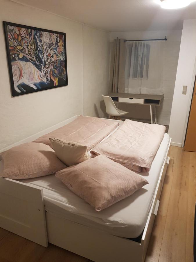 Trandafir Guesthouse Egtved Exteriör bild