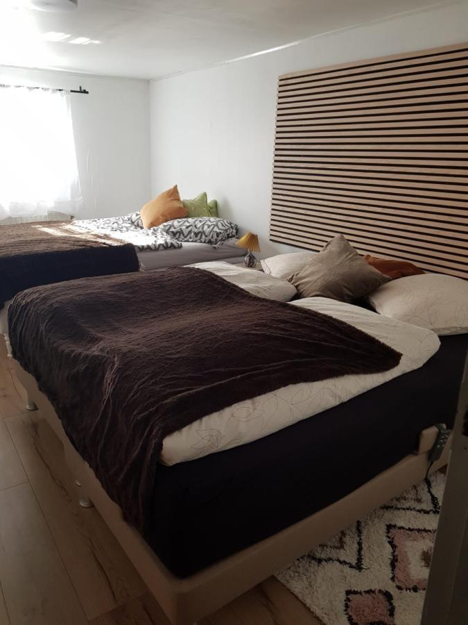 Trandafir Guesthouse Egtved Exteriör bild
