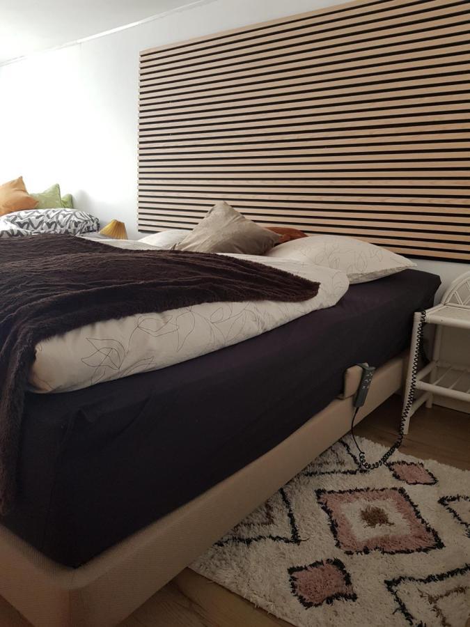 Trandafir Guesthouse Egtved Exteriör bild