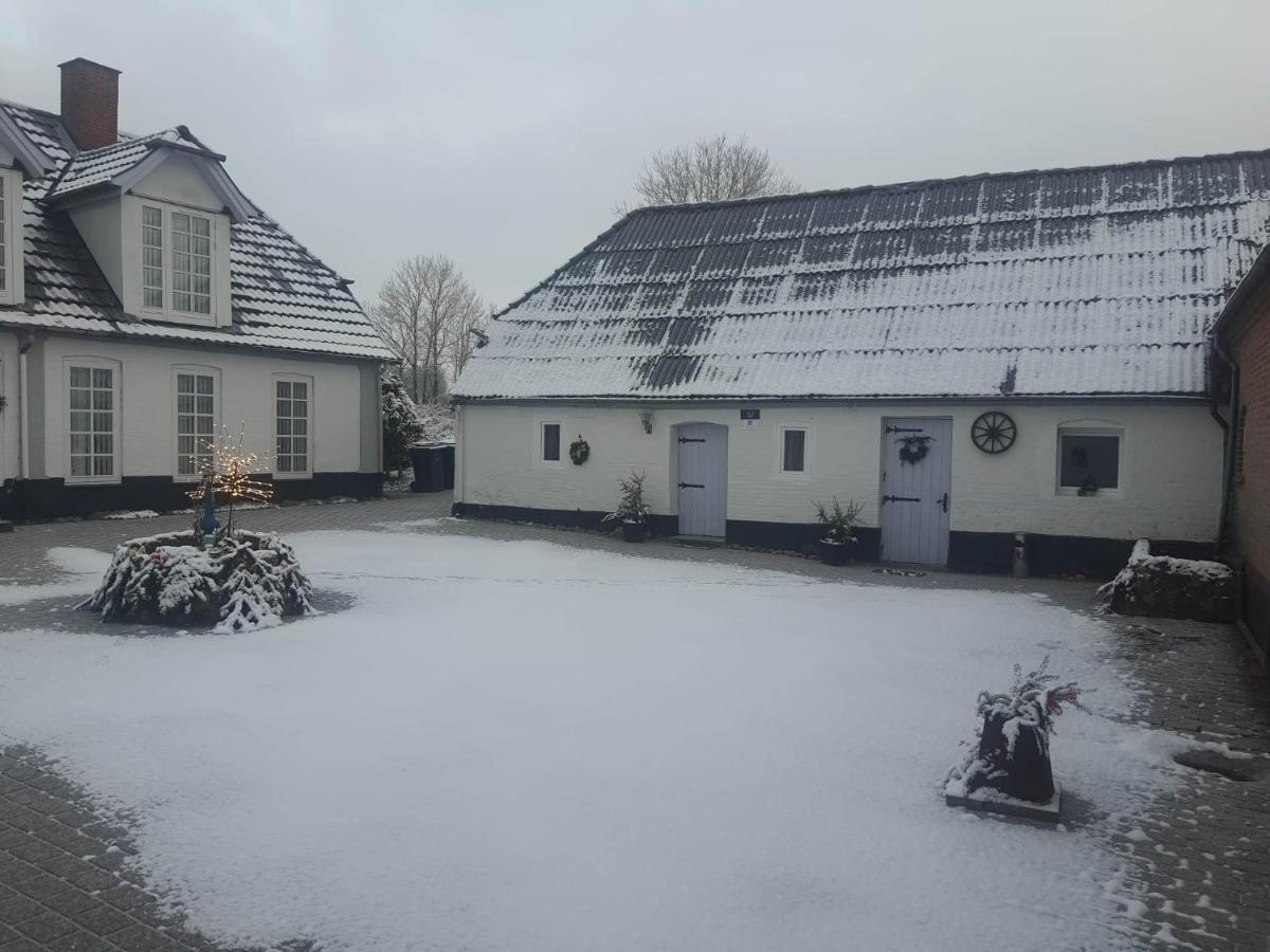 Trandafir Guesthouse Egtved Exteriör bild