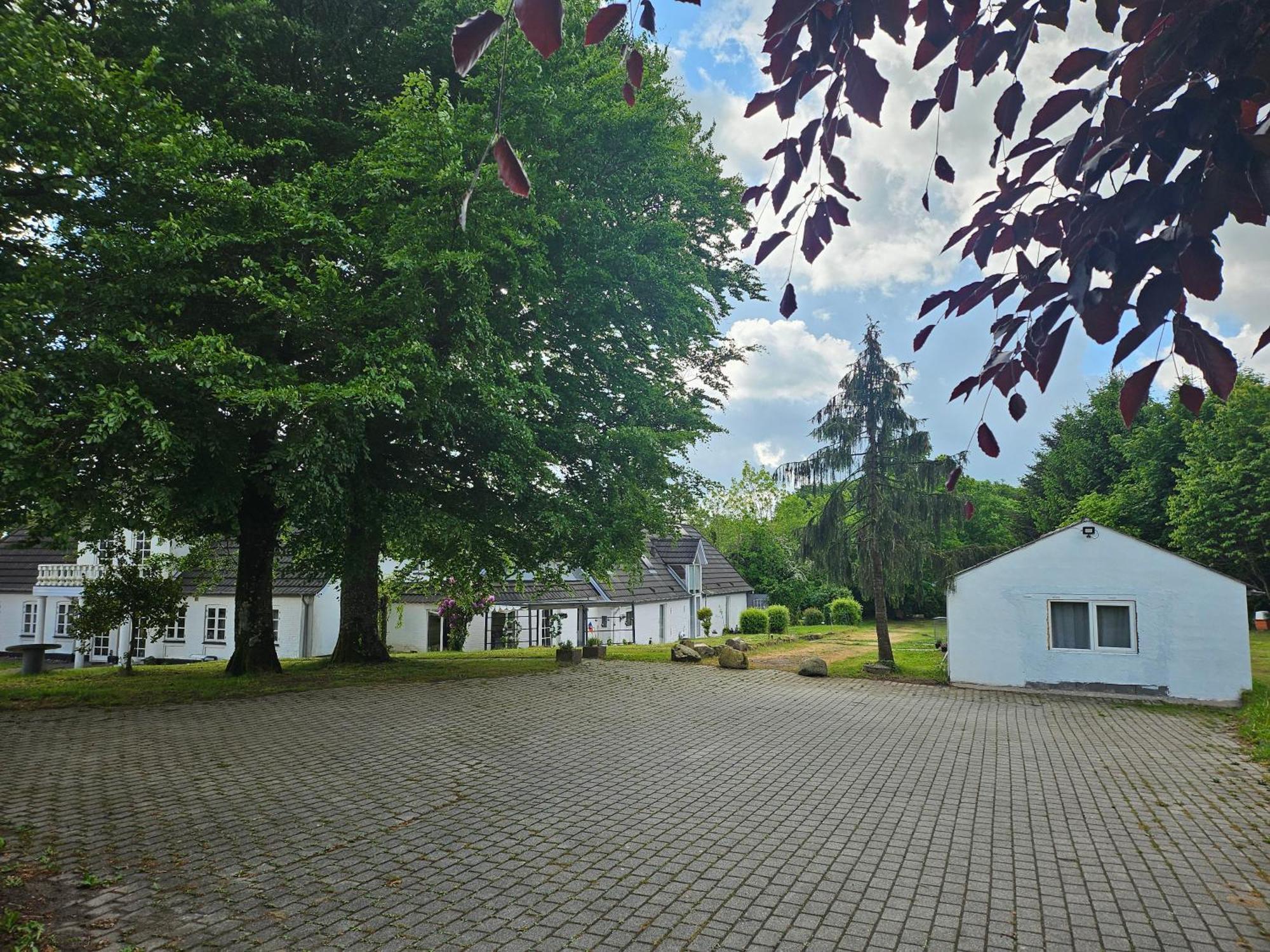 Trandafir Guesthouse Egtved Exteriör bild